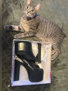 Rare Jeffrey Campbell platforms